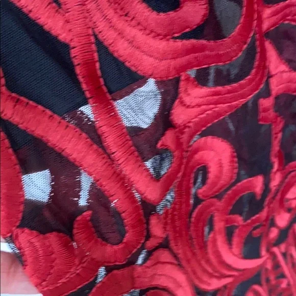 Foxiedox Red and Black Embroidered Dress Sz 2 New! - Picture 15 of 16
